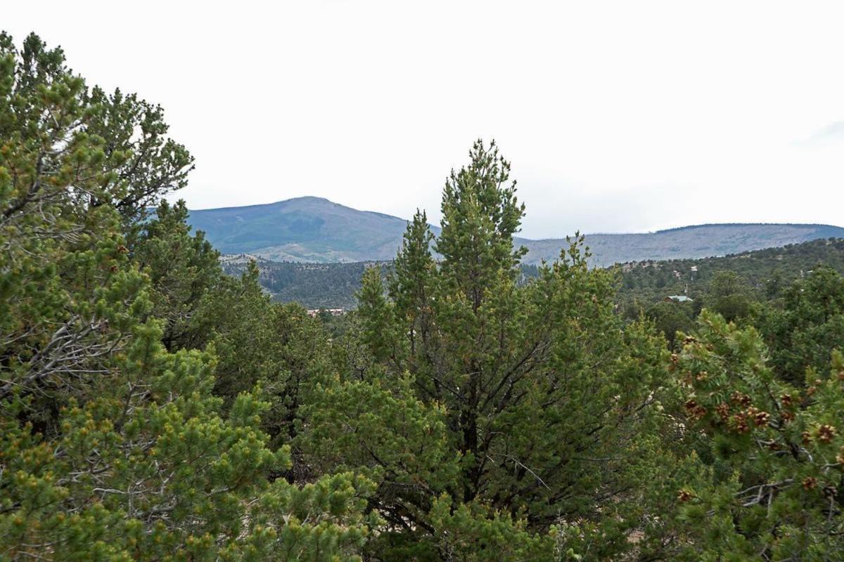 Alpine Mountain Top Home South Fork Bagian luar foto